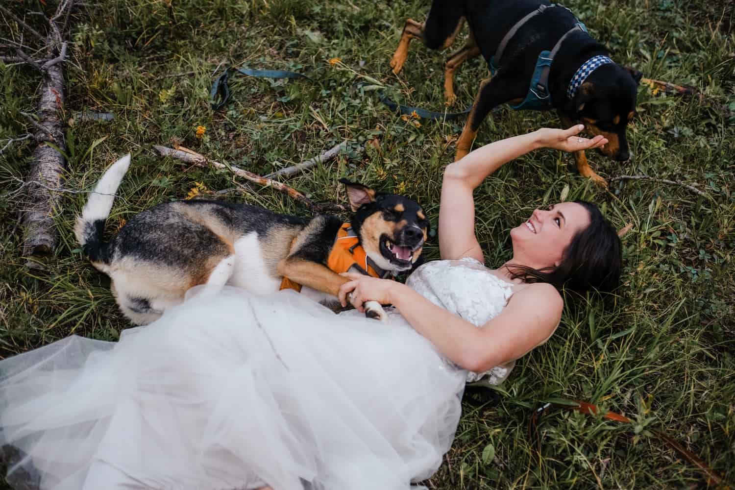 dogs-in-wedding-colorado