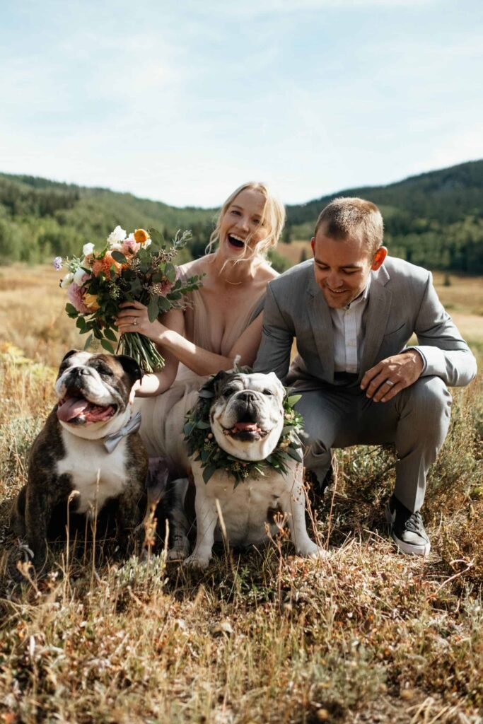 couple with two bulldogs getting married in Colorado