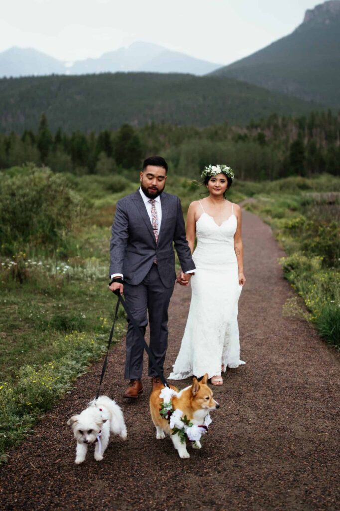 couple eloping in rocky mountain national park with dogs
