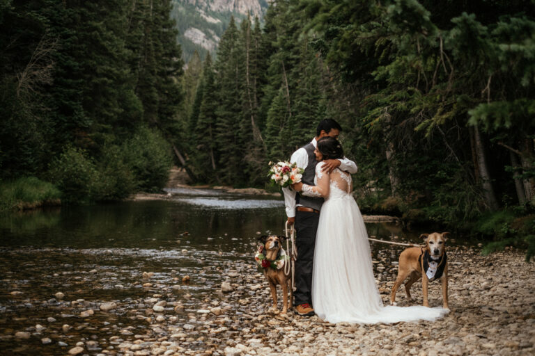 how to elope with a dog in colorado