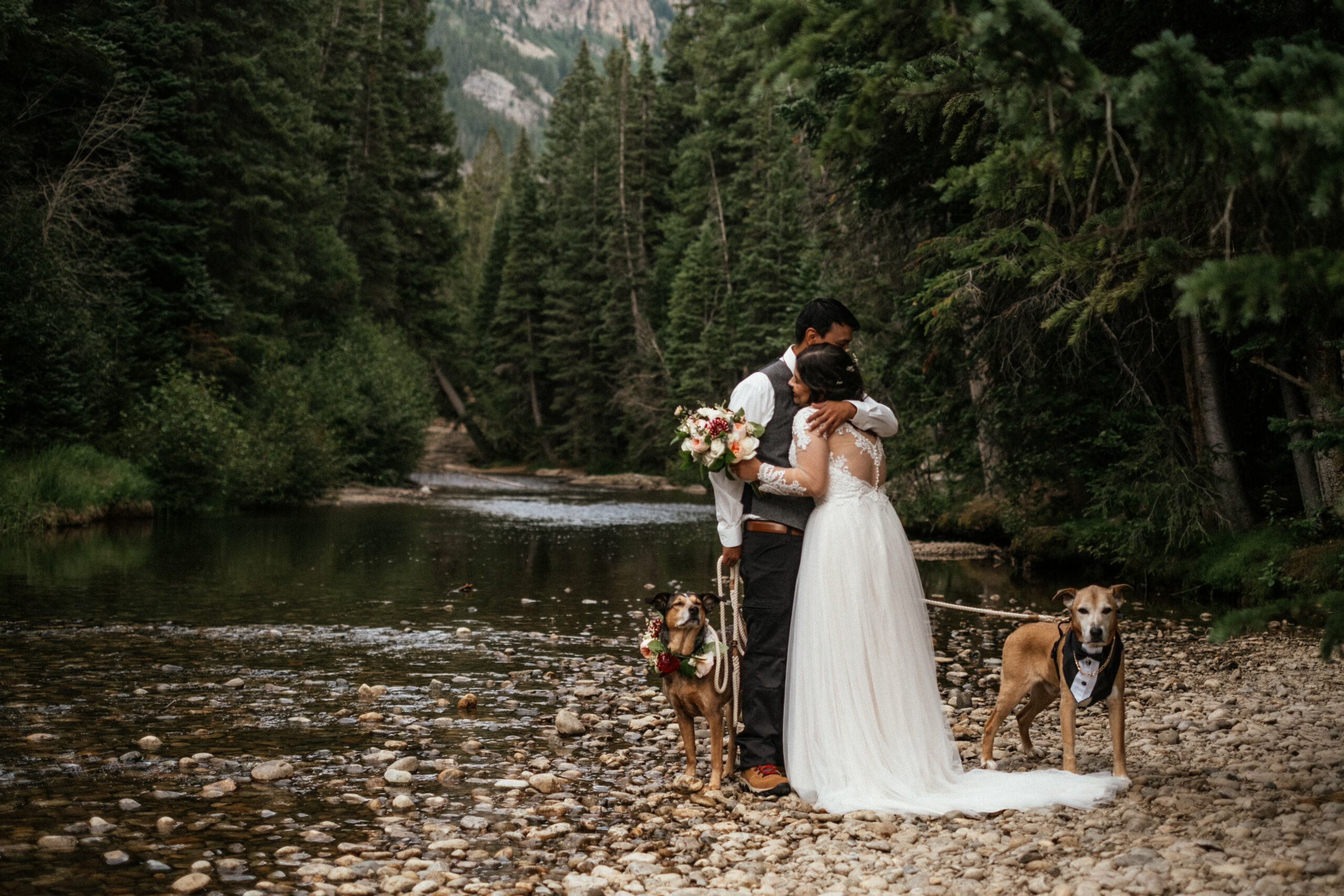 bride and groom and two dogs in wedding attire snuggle next to river at Colorado mountain elopement near Twin lakes