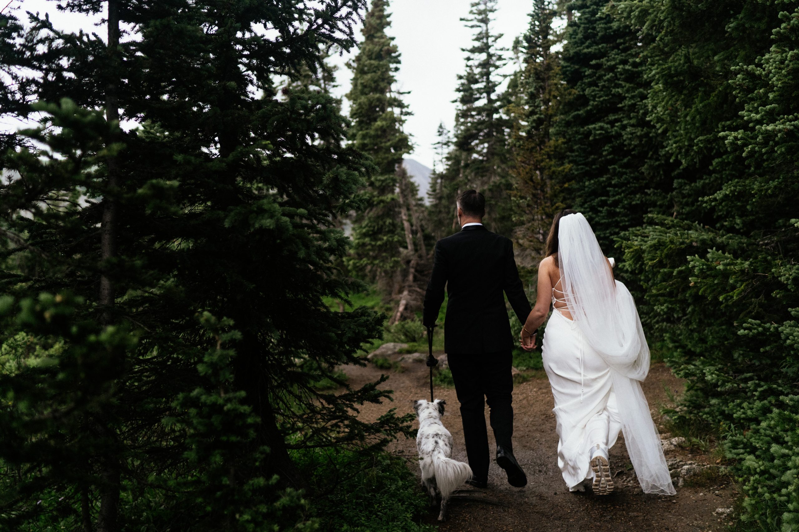 Bride and groom and dog walking in forest at colorado elopement
