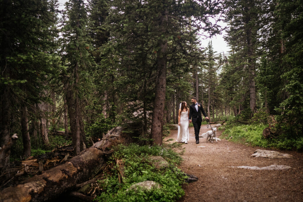 Couple walks down trail with dog on leash at indian peaks wilderness elopement.