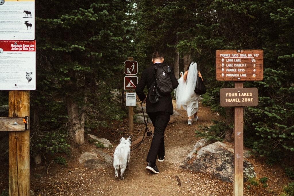 Bride, groom, and dog walking down trail at intimate Brainard Lake, Colorado wedding.