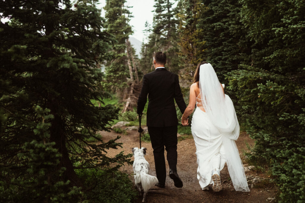 Bride, groom, and dog walking down trail in forest at Brainard lake elopement.