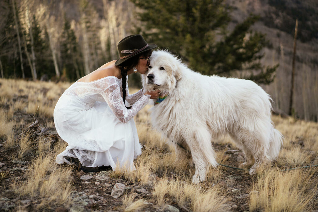 Bride in long sleeve wedding dress and hat does first look with big fluffy great pyrenees dog at Colorado elopement