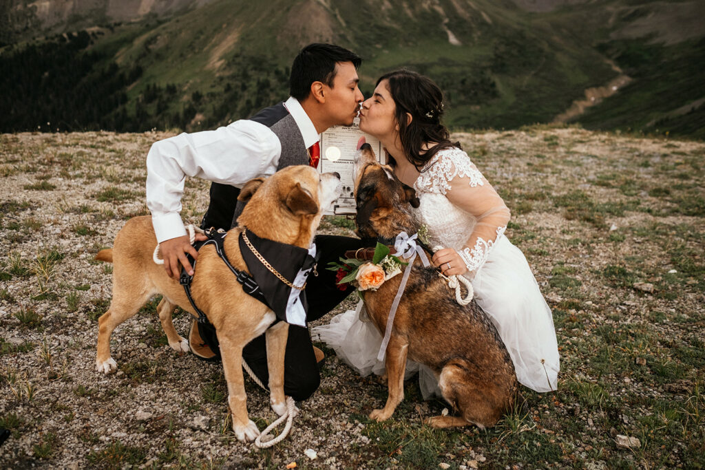 couple with their dogs kissing next to marriage license that the dogs signed with their paws at Colorado mountaintop elopement